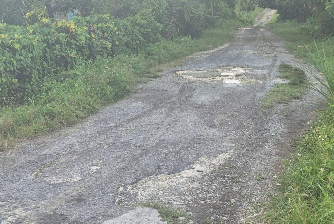 Third image of Downers Hope in Look Out, Portland, Jamaica - property is For Sale