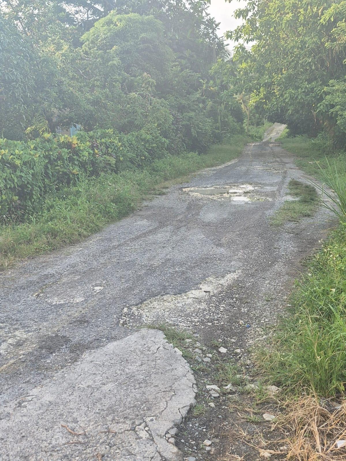 53-Acres-Development-Land-for-Sale-in-Downers-Hope-Portland-Jamaica Third image of Downers Hope in Look Out, Portland, Jamaica - property is For Sale