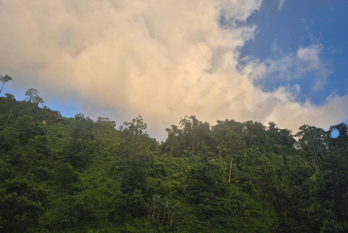 Fourth image of Downers Hope in Look Out, Portland, Jamaica - property is For Sale