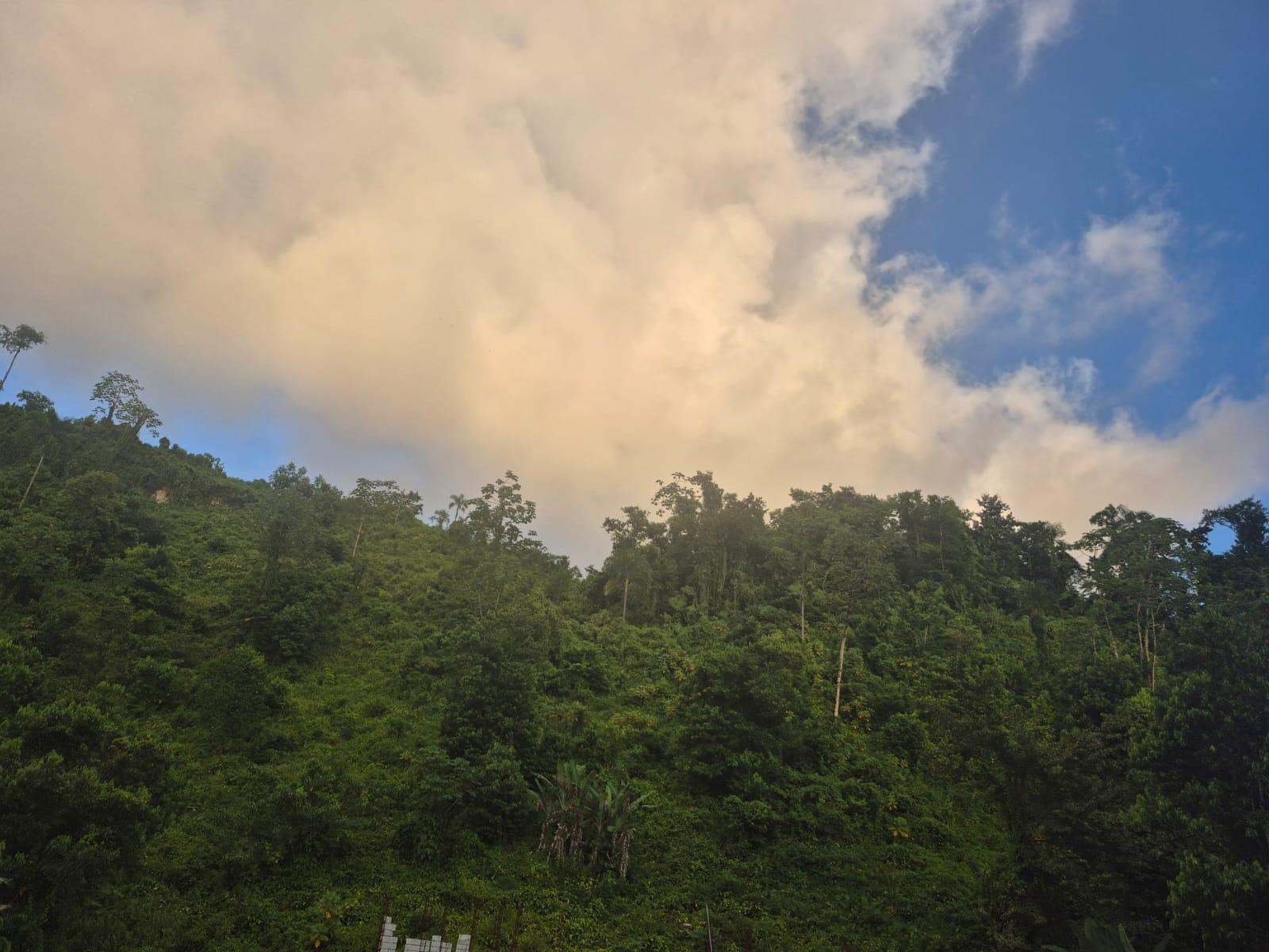 53-Acres-Development-Land-for-Sale-in-Downers-Hope-Portland-Jamaica Fourth image of Downers Hope in Look Out, Portland, Jamaica - property is For Sale