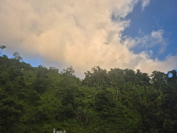 Fourth image of Downers Hope in Look Out, Portland, Jamaica - property is For Sale