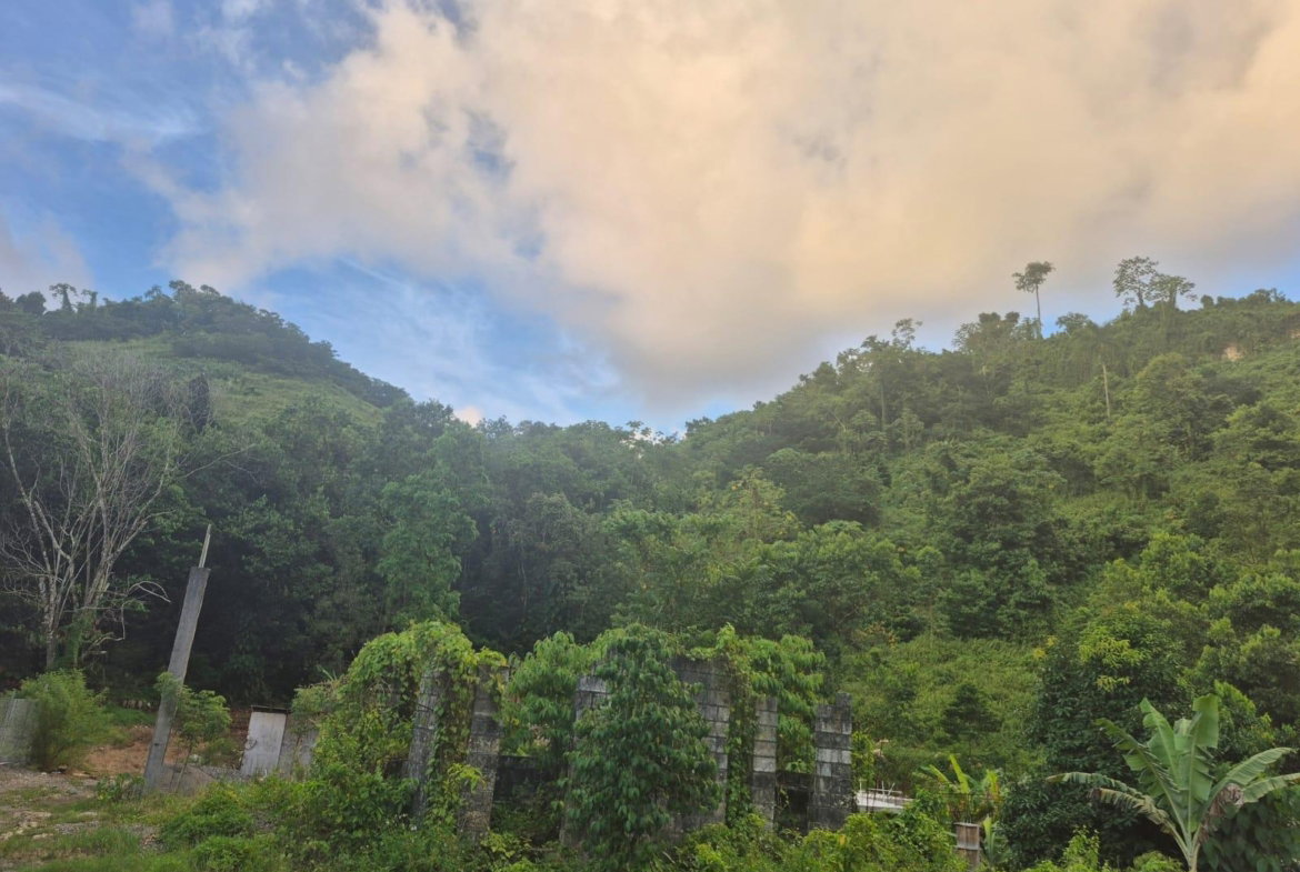 Fifth image of Downers Hope in Look Out, Portland, Jamaica - property is For Sale