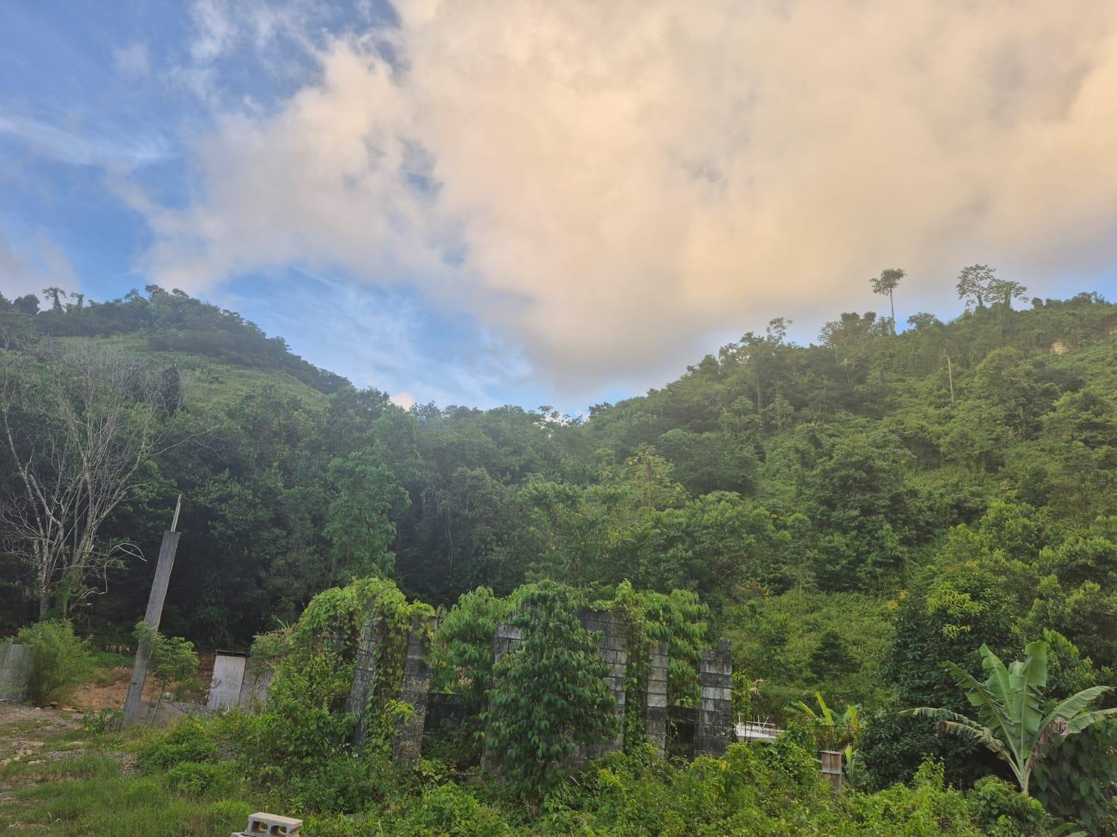 53-Acres-Development-Land-for-Sale-in-Downers-Hope-Portland-Jamaica Fifth image of Downers Hope in Look Out, Portland, Jamaica - property is For Sale