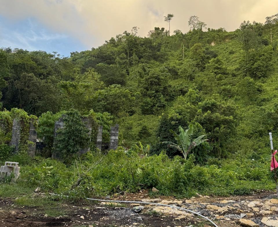 Sixth image of Downers Hope in Look Out, Portland, Jamaica - property is For Sale