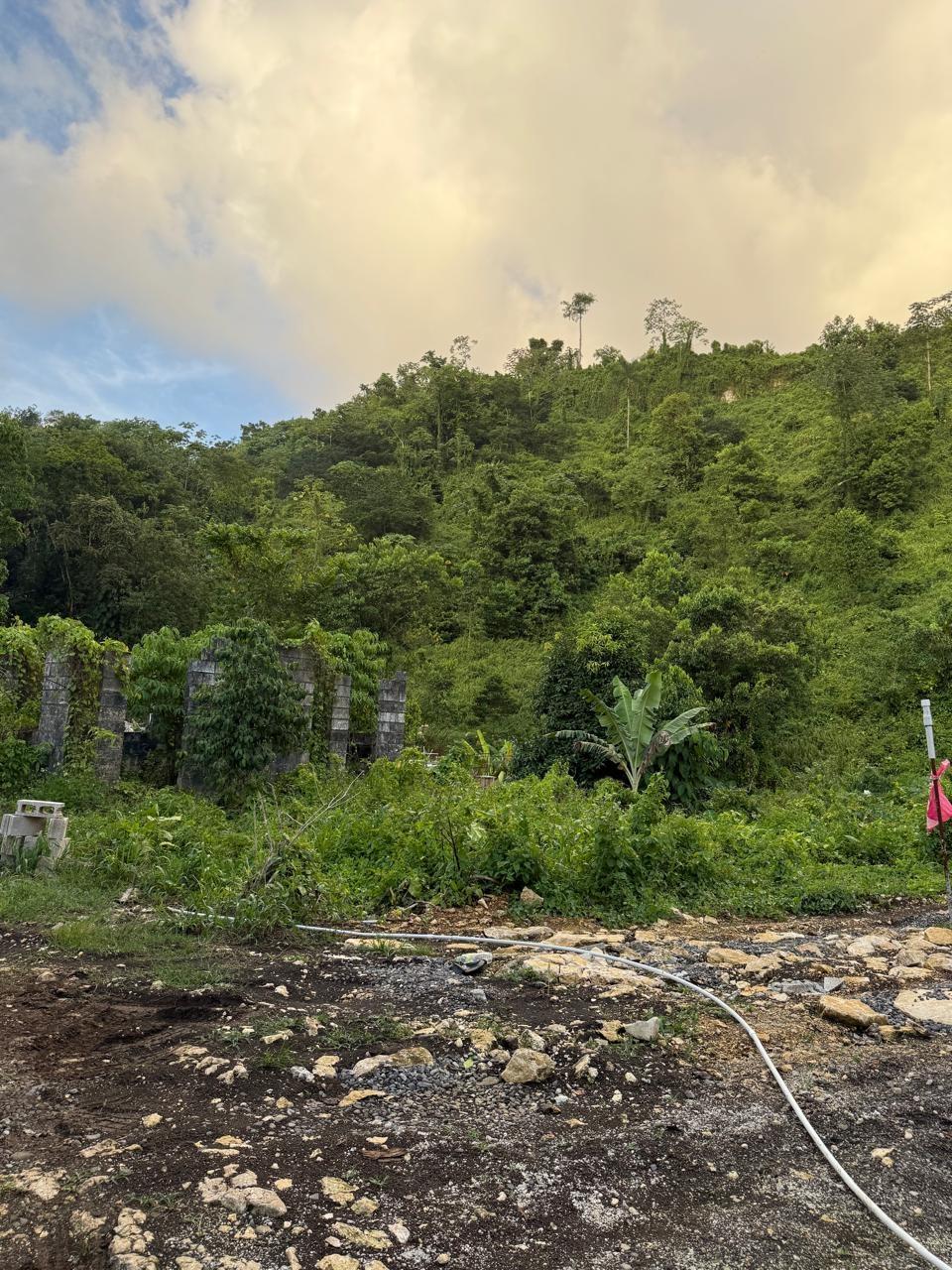 53-Acres-Development-Land-for-Sale-in-Downers-Hope-Portland-Jamaica Sixth image of Downers Hope in Look Out, Portland, Jamaica - property is For Sale