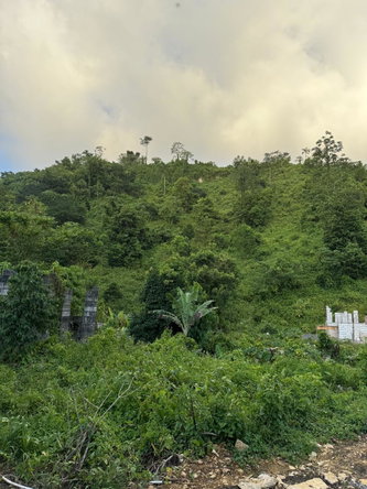 Seventh image of Downers Hope in Look Out, Portland, Jamaica - property is For Sale