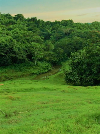 Twentieth image of 66a Rothsey Cove Harding Hall in Green Island, Hanover, Jamaica - property is For Sale