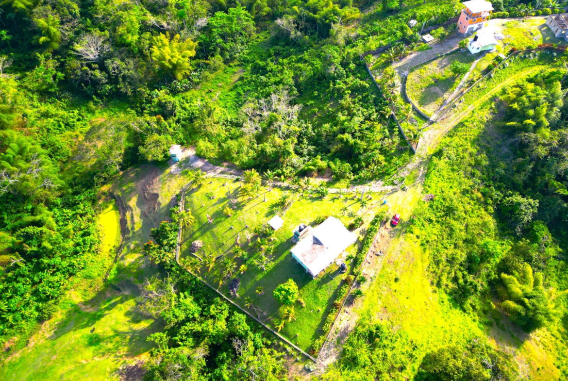 Fourth image of 66a Rothsey Cove Harding Hall in Green Island, Hanover, Jamaica - property is For Sale