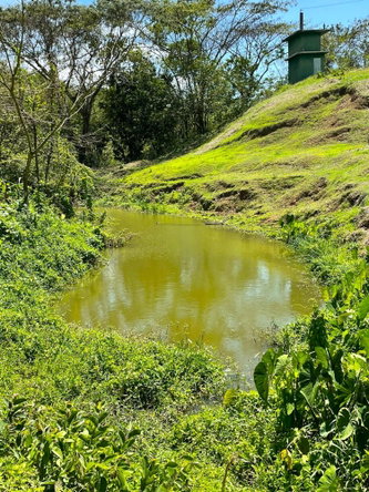 Eighth image of 66a Rothsey Cove Harding Hall in Green Island, Hanover, Jamaica - property is For Sale