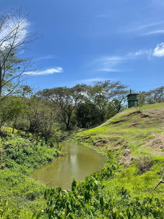 Ninth image of 66a Rothsey Cove Harding Hall in Green Island, Hanover, Jamaica - property is For Sale