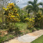 First image of Georges Valley in Georges Valley, Manchester, Jamaica - property is For Sale