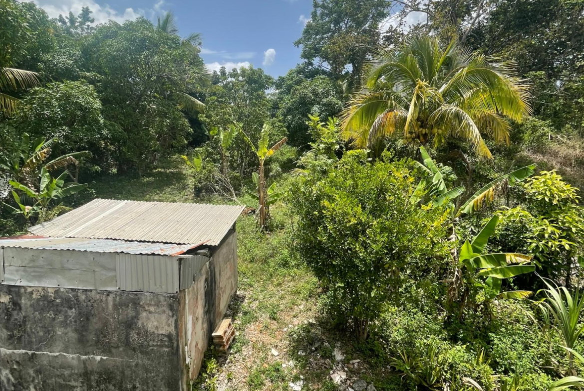 Seventeenth image of Georges Valley in Georges Valley, Manchester, Jamaica - property is For Sale