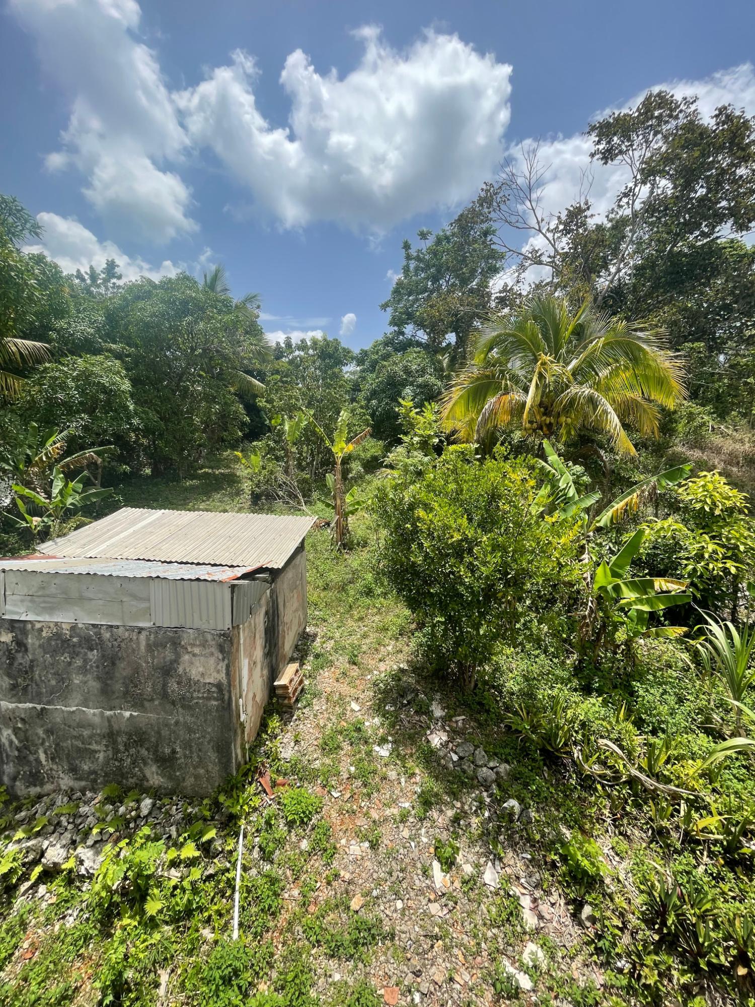 Seventeenth image of Georges Valley in Georges Valley, Manchester, Jamaica - property is For Sale