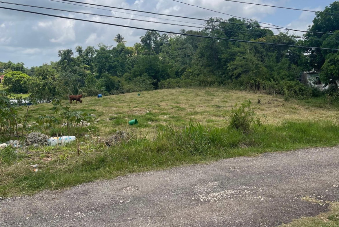 Third image of Georges Valley in Georges Valley, Manchester, Jamaica - property is For Sale