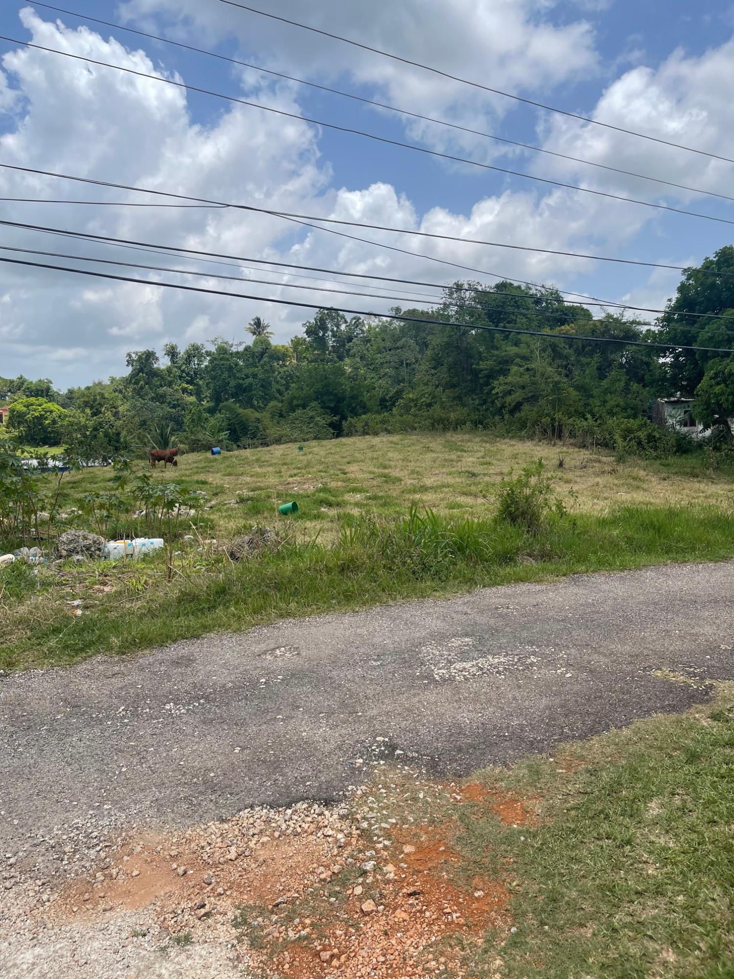 Third image of Georges Valley in Georges Valley, Manchester, Jamaica - property is For Sale