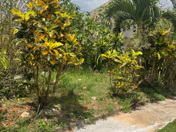 First image of Georges Valley in Georges Valley, Manchester, Jamaica - property is For Sale