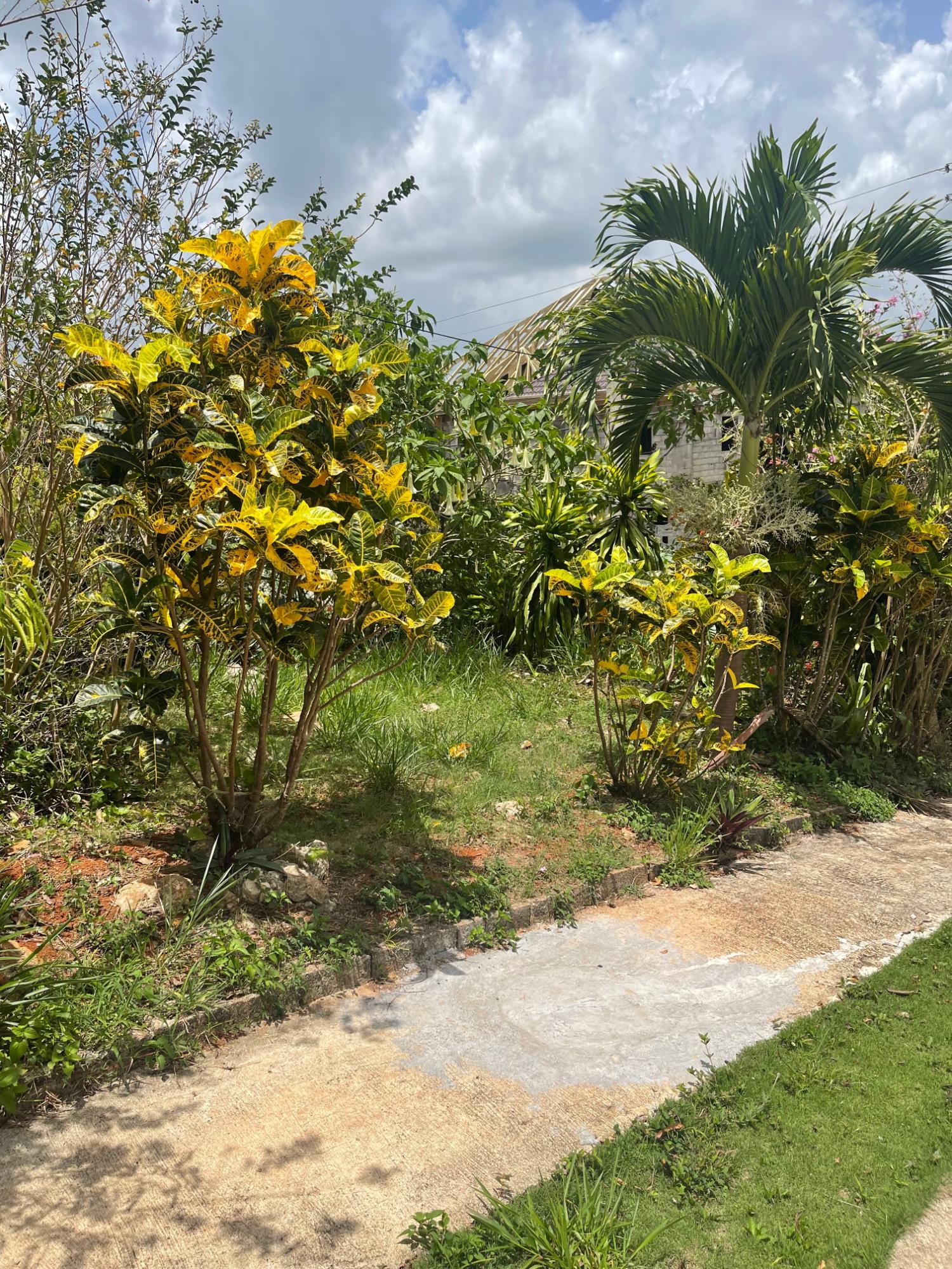 First image of Georges Valley in Georges Valley, Manchester, Jamaica - property is For Sale