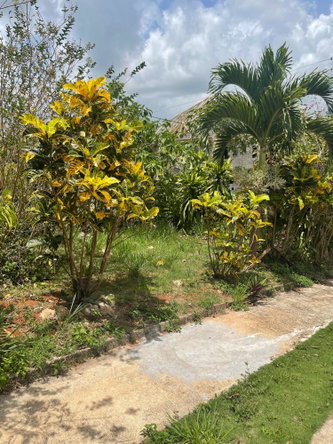 First image of Georges Valley in Georges Valley, Manchester, Jamaica - property is For Sale