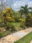 First image of Georges Valley in Georges Valley, Manchester, Jamaica - property is For Sale