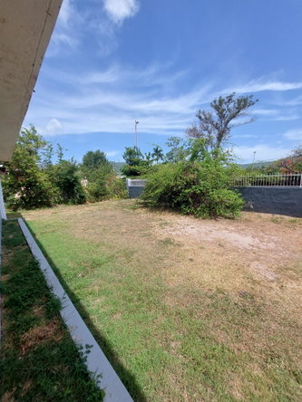 Twenty-Fourth image of 4 Daisy Avenue, Mona in Kingston 6, St. Andrew, Jamaica - property is For Sale