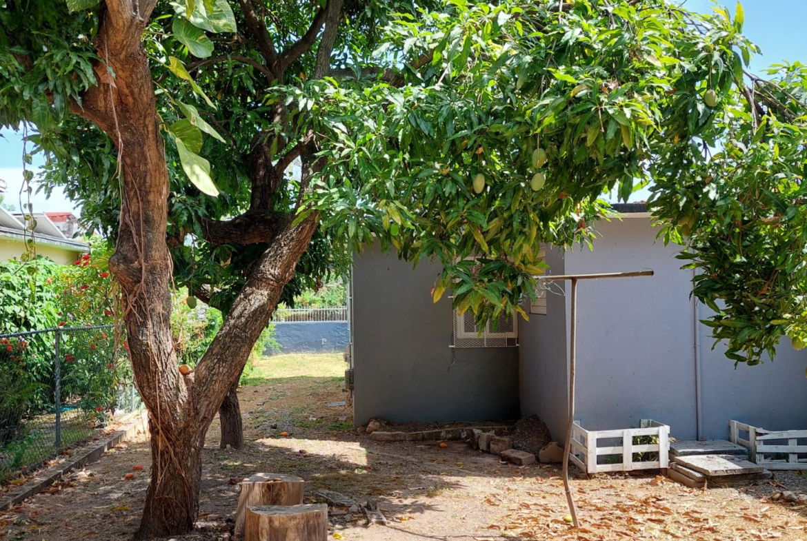 Twenty-Eighth image of 4 Daisy Avenue, Mona in Kingston 6, St. Andrew, Jamaica - property is For Sale