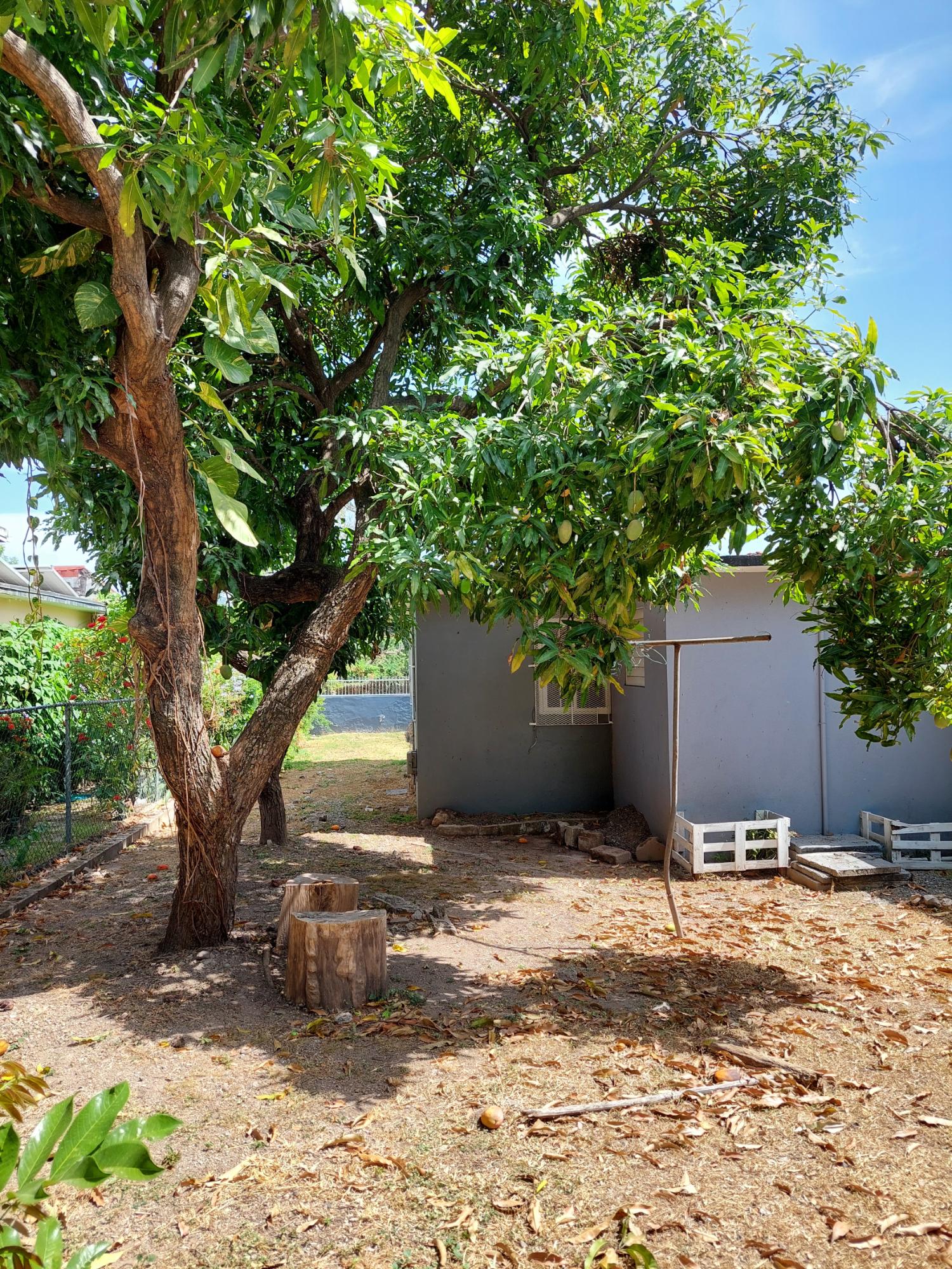 6-Bedroom-House-for-Sale-in-Mona-St.-Andrew-Jamaica-Investment-or-Family-Home Twenty-Eighth image of 4 Daisy Avenue, Mona in Kingston 6, St. Andrew, Jamaica - property is For Sale