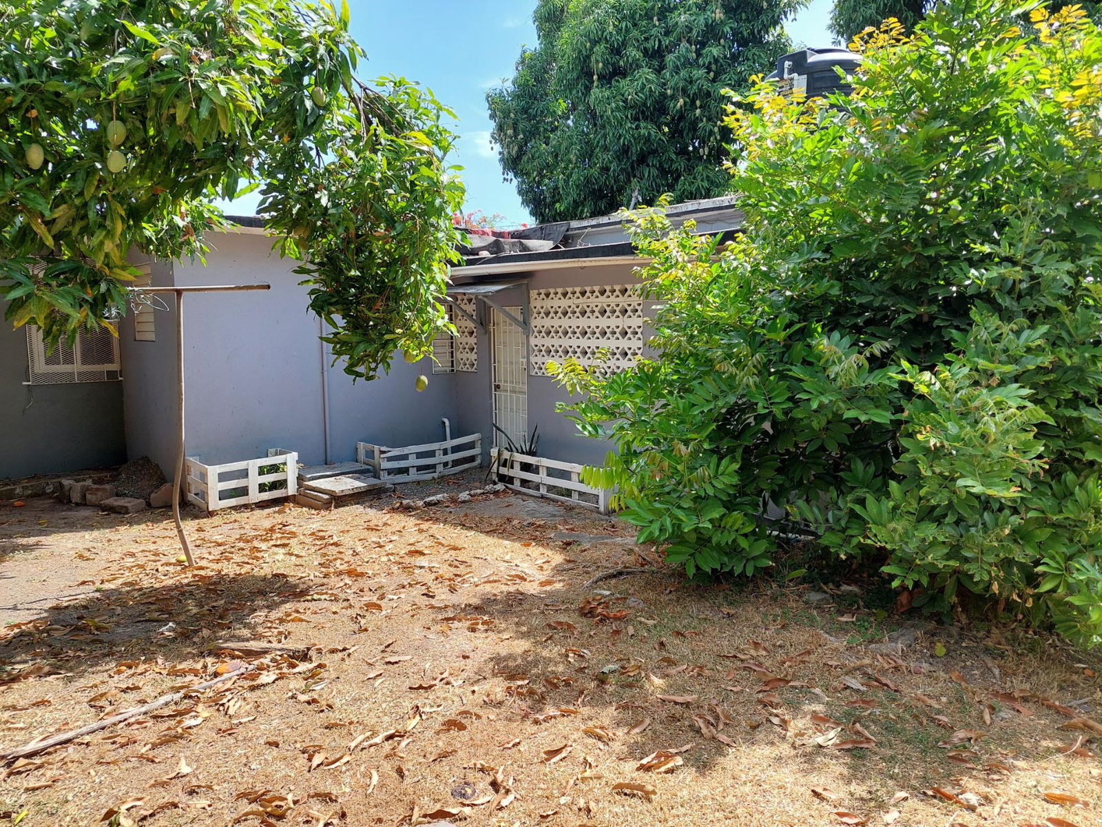 6-Bedroom-House-for-Sale-in-Mona-St.-Andrew-Jamaica-Investment-or-Family-Home Twenty-Ninth image of 4 Daisy Avenue, Mona in Kingston 6, St. Andrew, Jamaica - property is For Sale