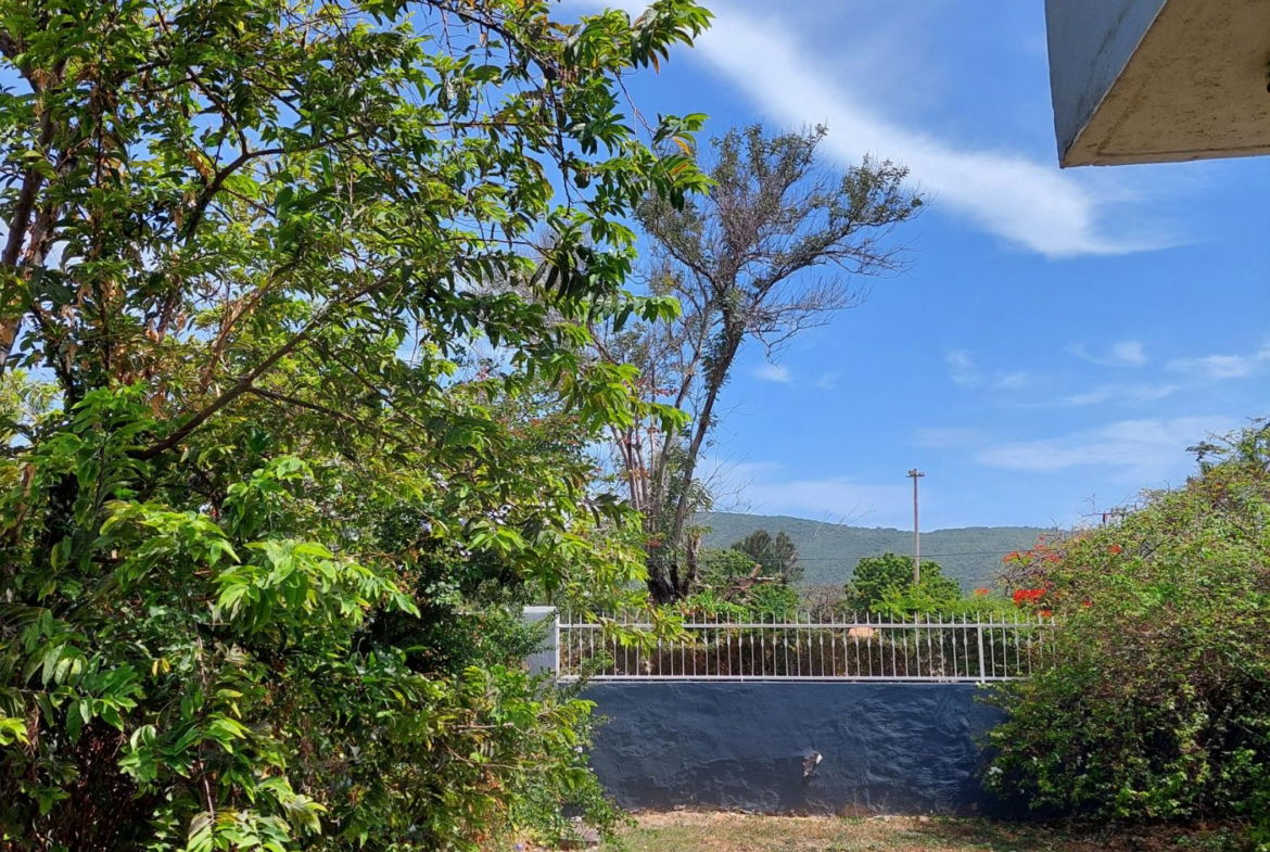 Thirtieth image of 4 Daisy Avenue, Mona in Kingston 6, St. Andrew, Jamaica - property is For Sale