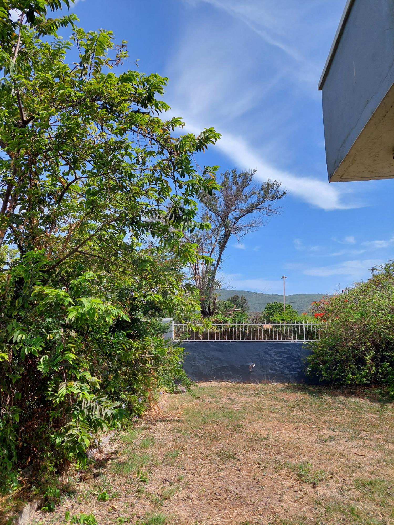 6-Bedroom-House-for-Sale-in-Mona-St.-Andrew-Jamaica-Investment-or-Family-Home Thirtieth image of 4 Daisy Avenue, Mona in Kingston 6, St. Andrew, Jamaica - property is For Sale