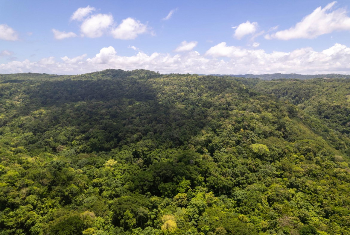 Second image of 3 Rocky Hill in Boscobel, St. Mary, Jamaica - property is For Sale