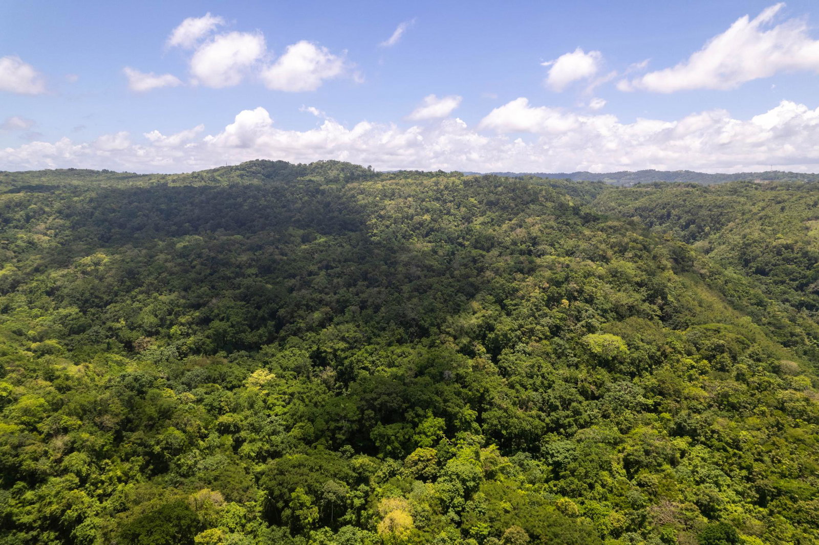 Second image of 3 Rocky Hill in Boscobel, St. Mary, Jamaica - property is For Sale