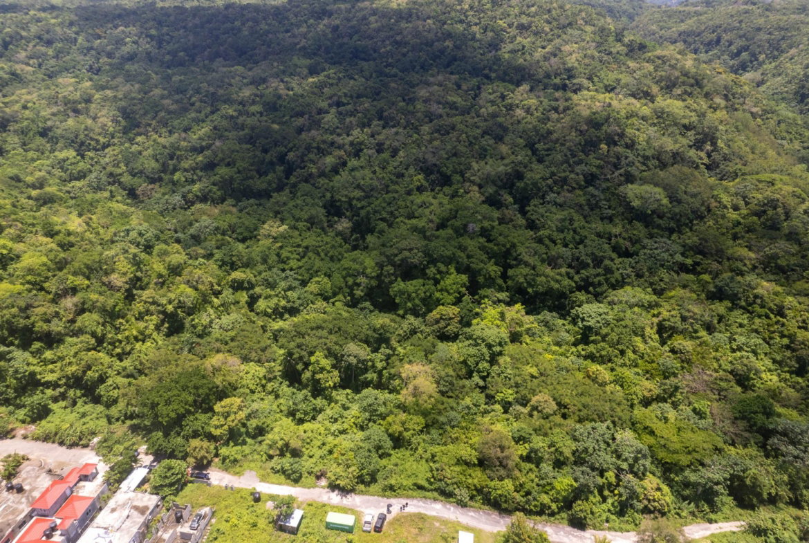 First image of 3 Rocky Hill in Boscobel, St. Mary, Jamaica - property is For Sale