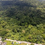 First image of 3 Rocky Hill in Boscobel, St. Mary, Jamaica - property is For Sale