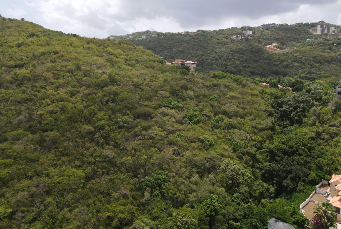 Fourth image of Queen Hill Land in Red Hills, St. Andrew, Jamaica - property is For Sale