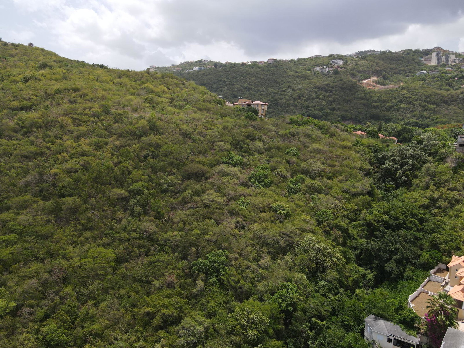 Fourth image of Queen Hill Land in Red Hills, St. Andrew, Jamaica - property is For Sale
