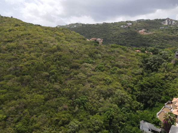 Fourth image of Queen Hill Land in Red Hills, St. Andrew, Jamaica - property is For Sale