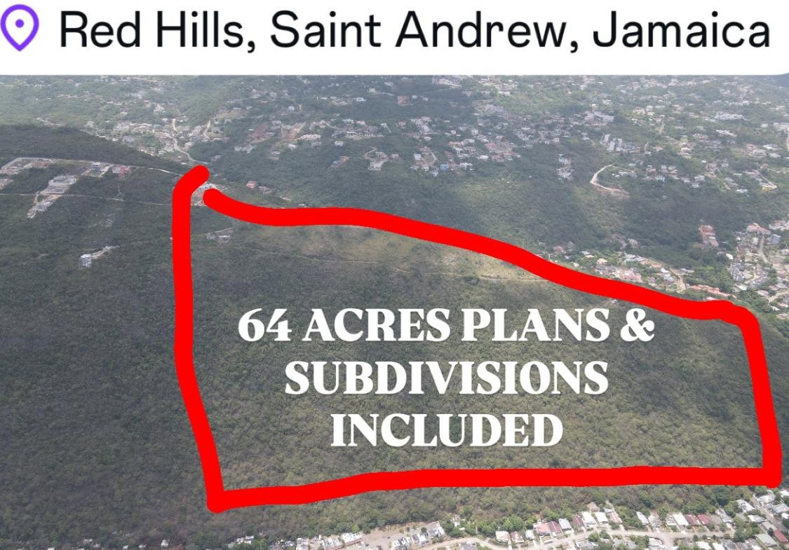 Fifth image of Queen Hill Land in Red Hills, St. Andrew, Jamaica - property is For Sale