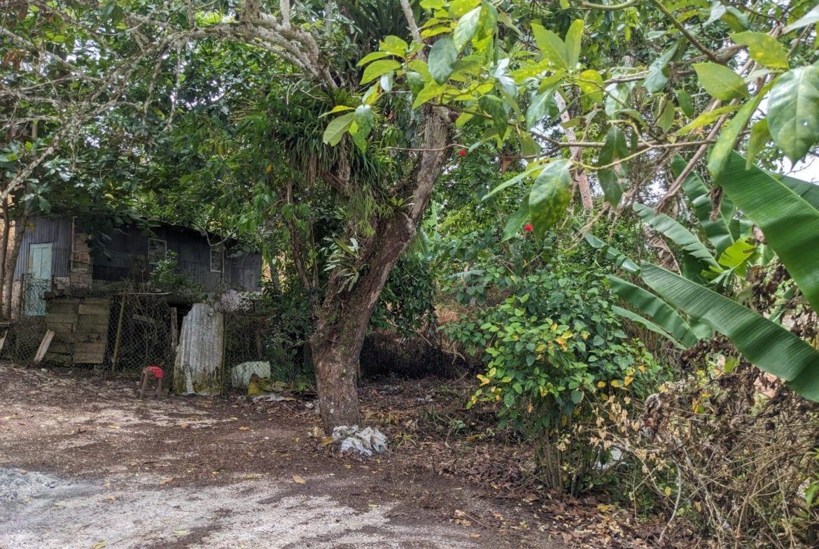 Twelfth image of Brittonville, St. Ann in Claremont, St. Ann, Jamaica - property is For Sale