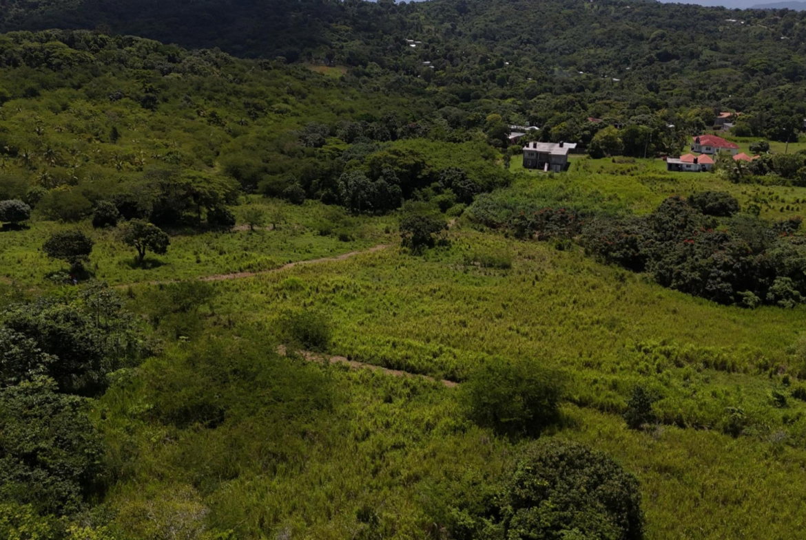 Third image of 11- Friendship in Islington, St. Mary, Jamaica - property is For Sale