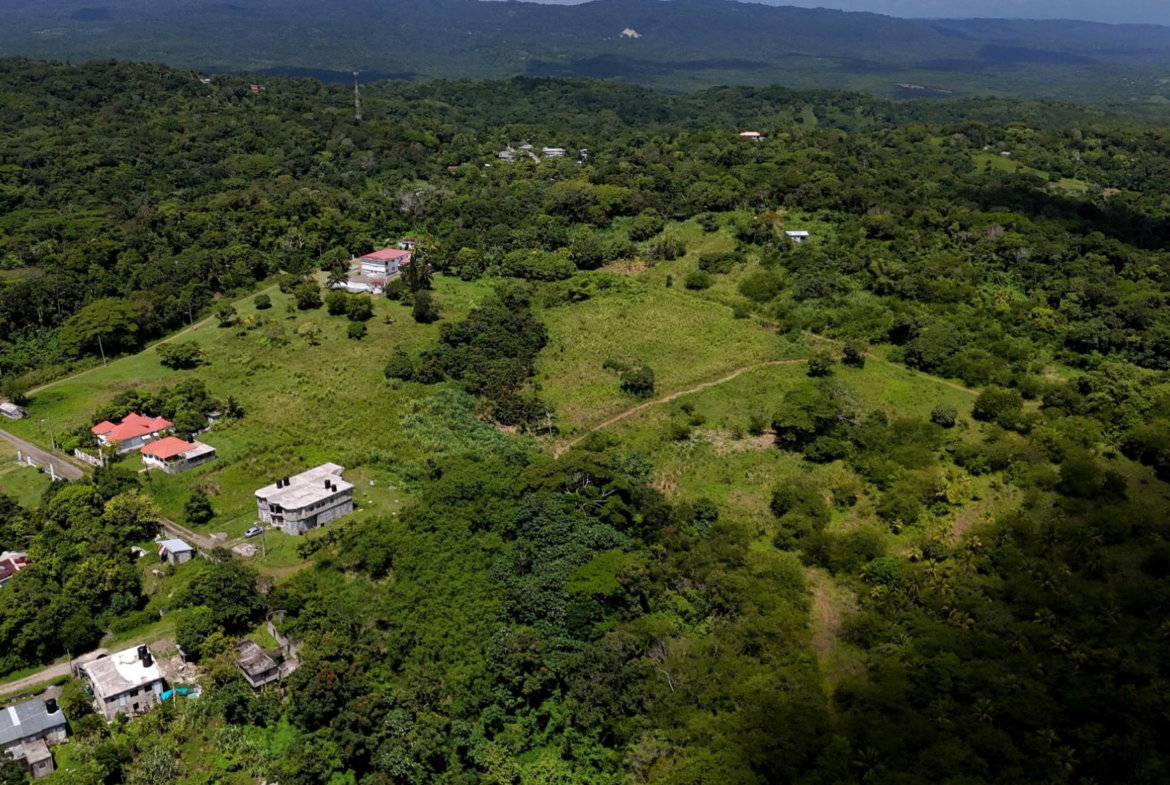 Fourth image of 11- Friendship in Islington, St. Mary, Jamaica - property is For Sale