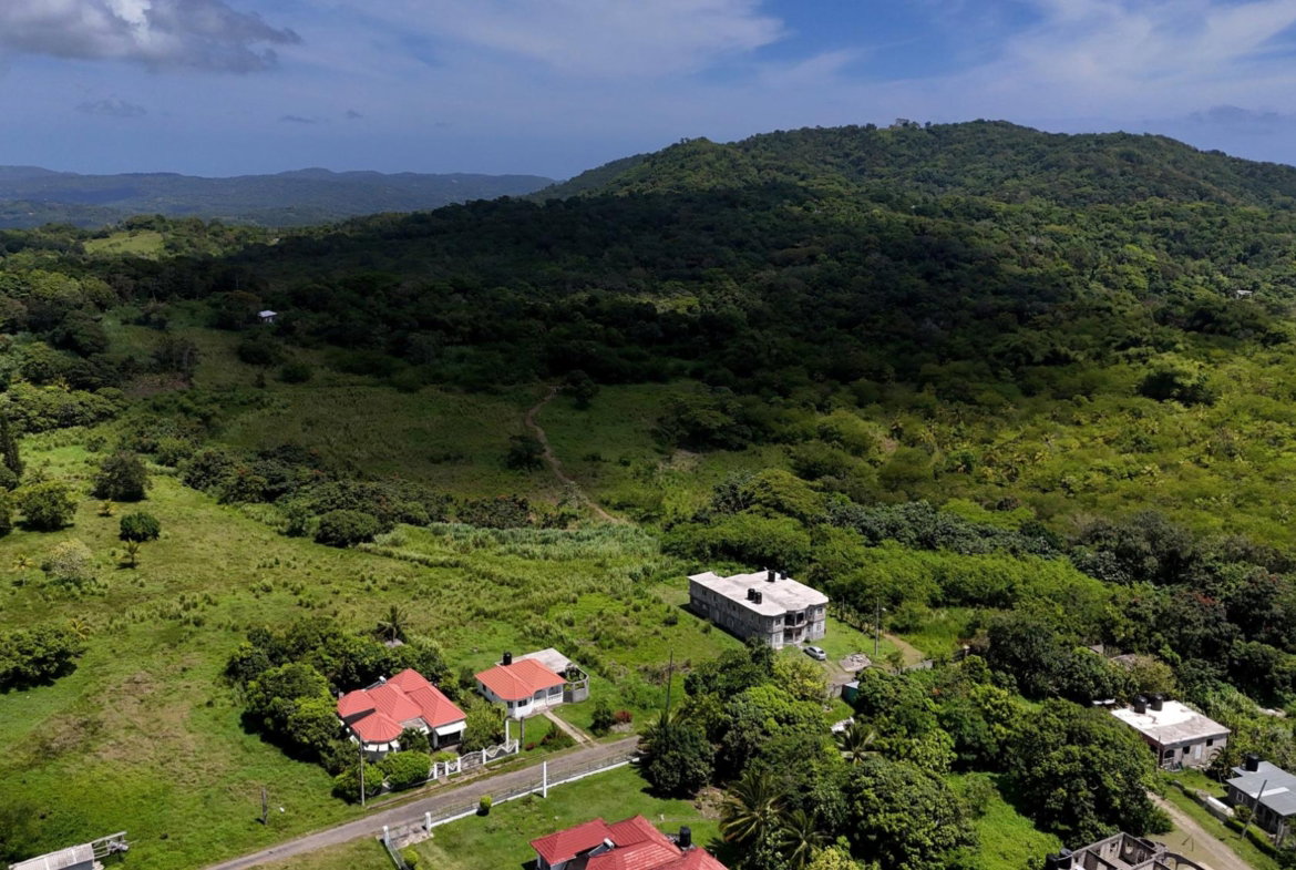 Sixth image of 11- Friendship in Islington, St. Mary, Jamaica - property is For Sale