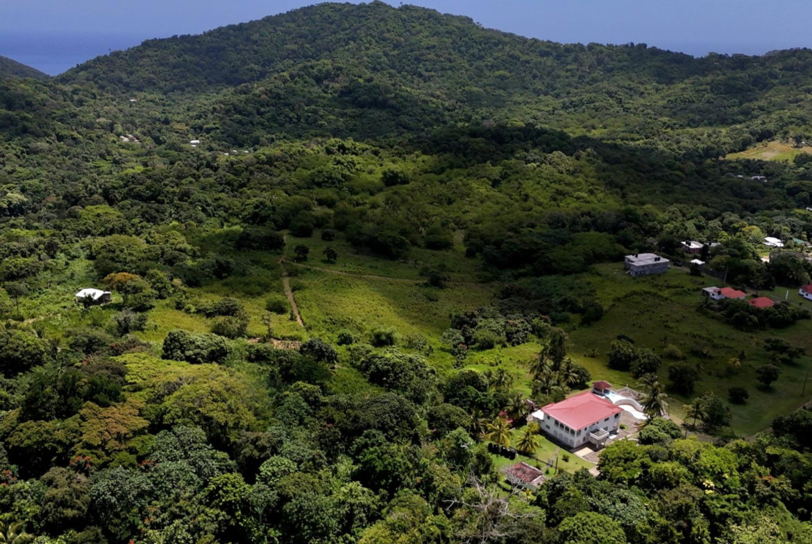 Eighth image of 11- Friendship in Islington, St. Mary, Jamaica - property is For Sale