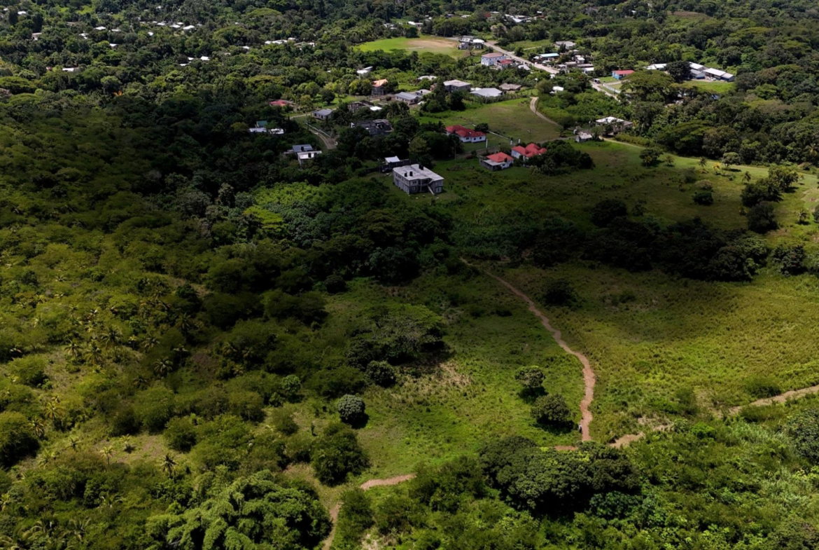 Ninth image of 11- Friendship in Islington, St. Mary, Jamaica - property is For Sale