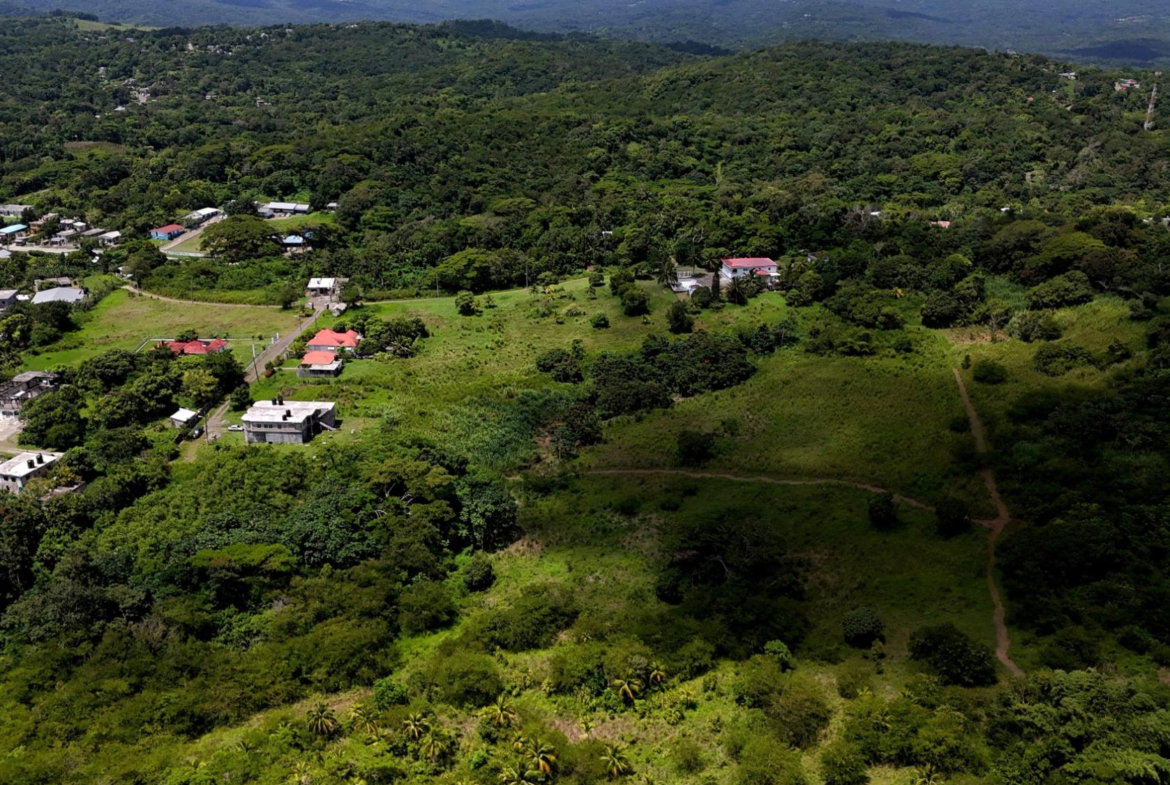 Tenth image of 11- Friendship in Islington, St. Mary, Jamaica - property is For Sale