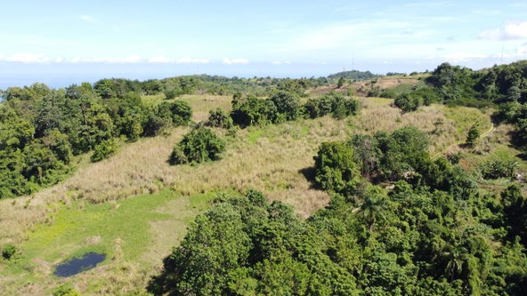Eleventh image of Southfield in Runaway Bay, St. Ann, Jamaica - property is For Sale