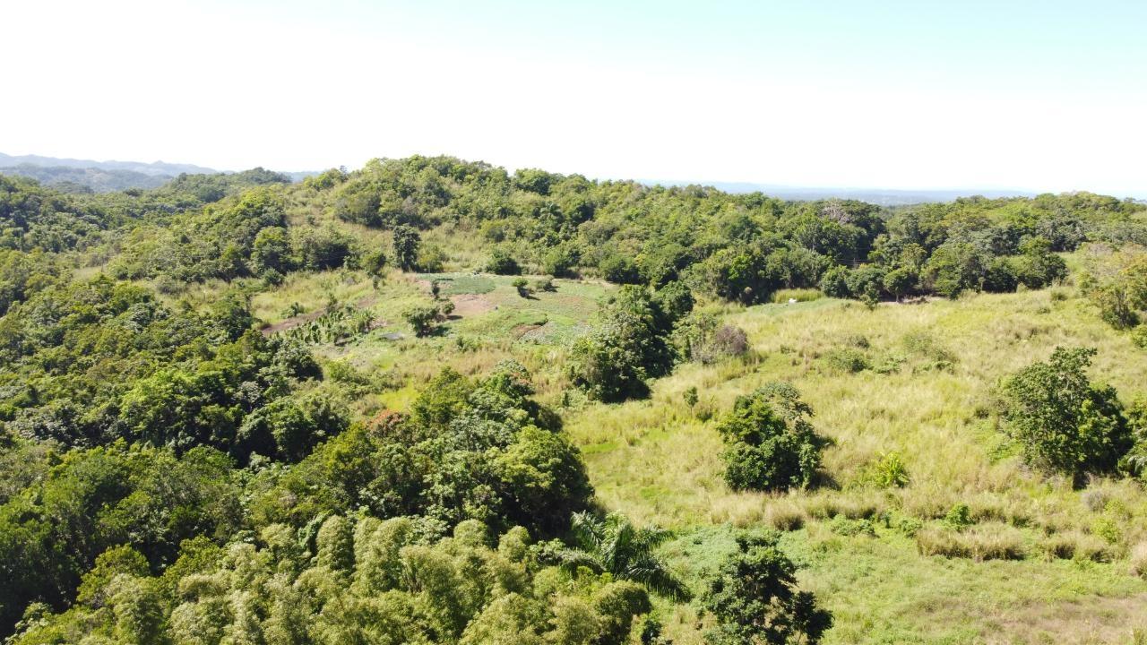 8.42-Acres-Residential-Development-Land-for-Sale-in-Southfield-St.-Ann-Jamaica Twelfth image of Southfield in Runaway Bay, St. Ann, Jamaica - property is For Sale
