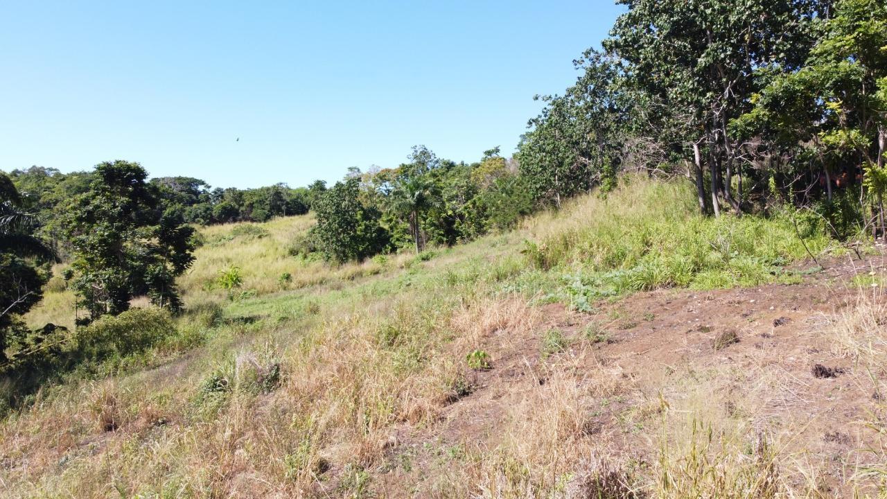 8.42-Acres-Residential-Development-Land-for-Sale-in-Southfield-St.-Ann-Jamaica Thirteenth image of Southfield in Runaway Bay, St. Ann, Jamaica - property is For Sale