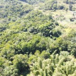 First image of Southfield in Runaway Bay, St. Ann, Jamaica - property is For Sale