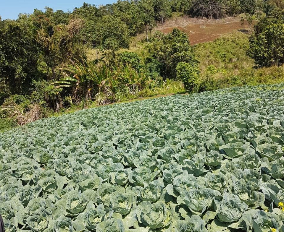 Nineteenth image of Southfield in Runaway Bay, St. Ann, Jamaica - property is For Sale