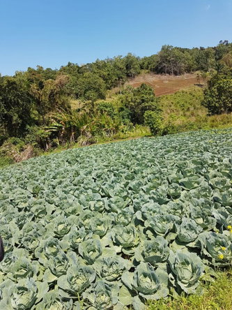 Nineteenth image of Southfield in Runaway Bay, St. Ann, Jamaica - property is For Sale
